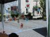 Kunsthandwerksmarkt Hallein 2. - 3. Juli 2005